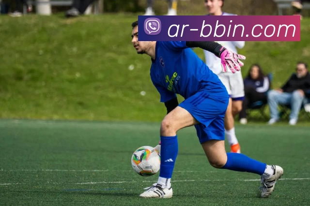 bbin体育平台APP 高清赛事图